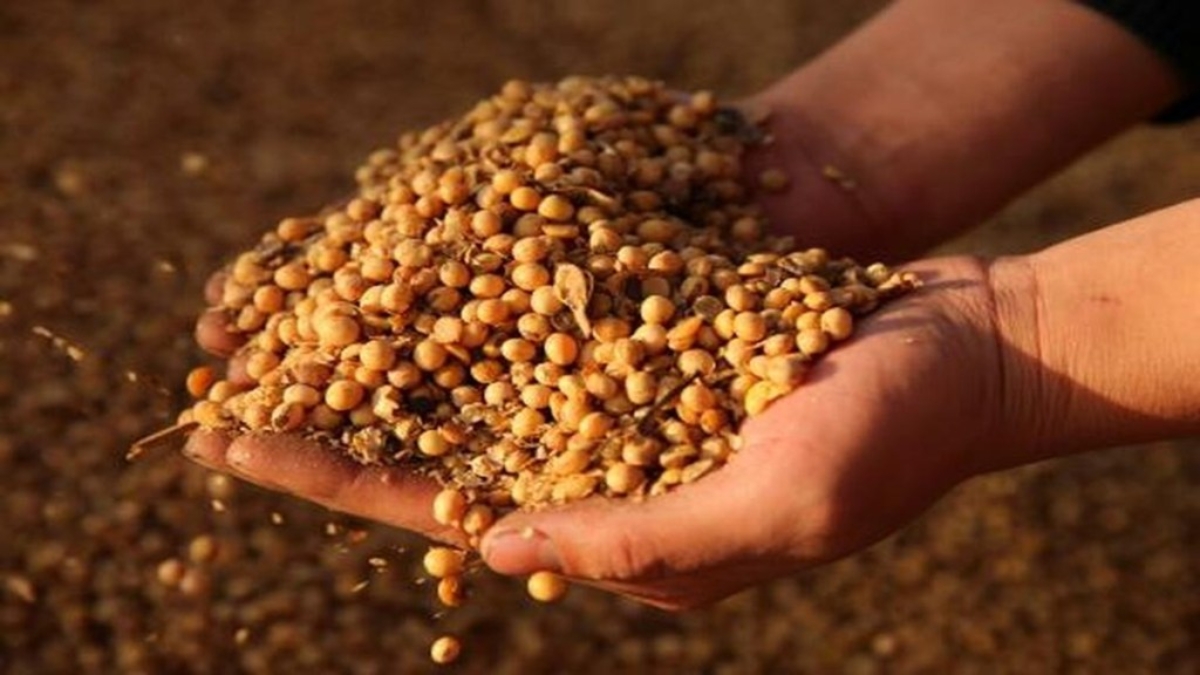 Push to declare 2026 as ‘Year of Soy’ to boost nutrition, farmer incomes - PNN